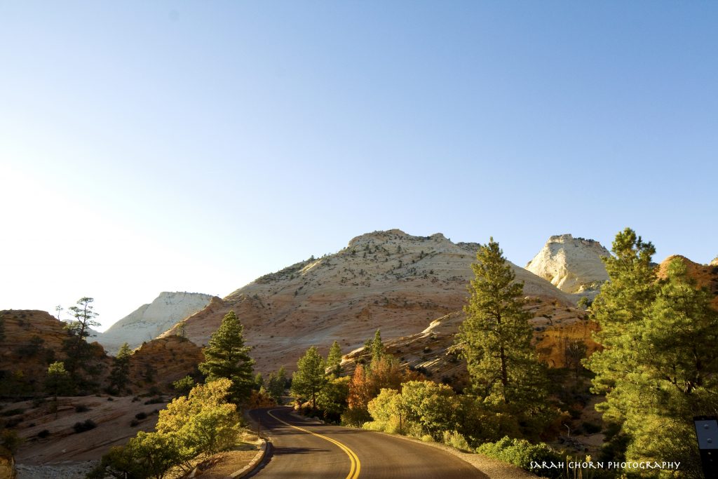 A Road Through Zion